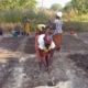 Mujeres campesinas Guinea Bissau